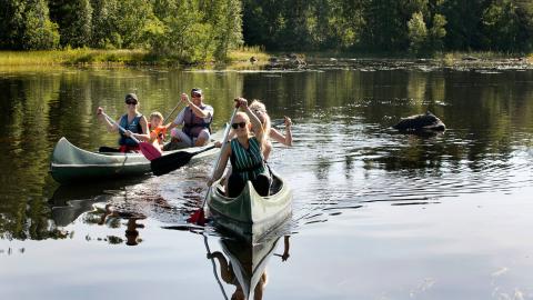 Två kanoter paddlar på stilla vatten med grön skog i bakgrund