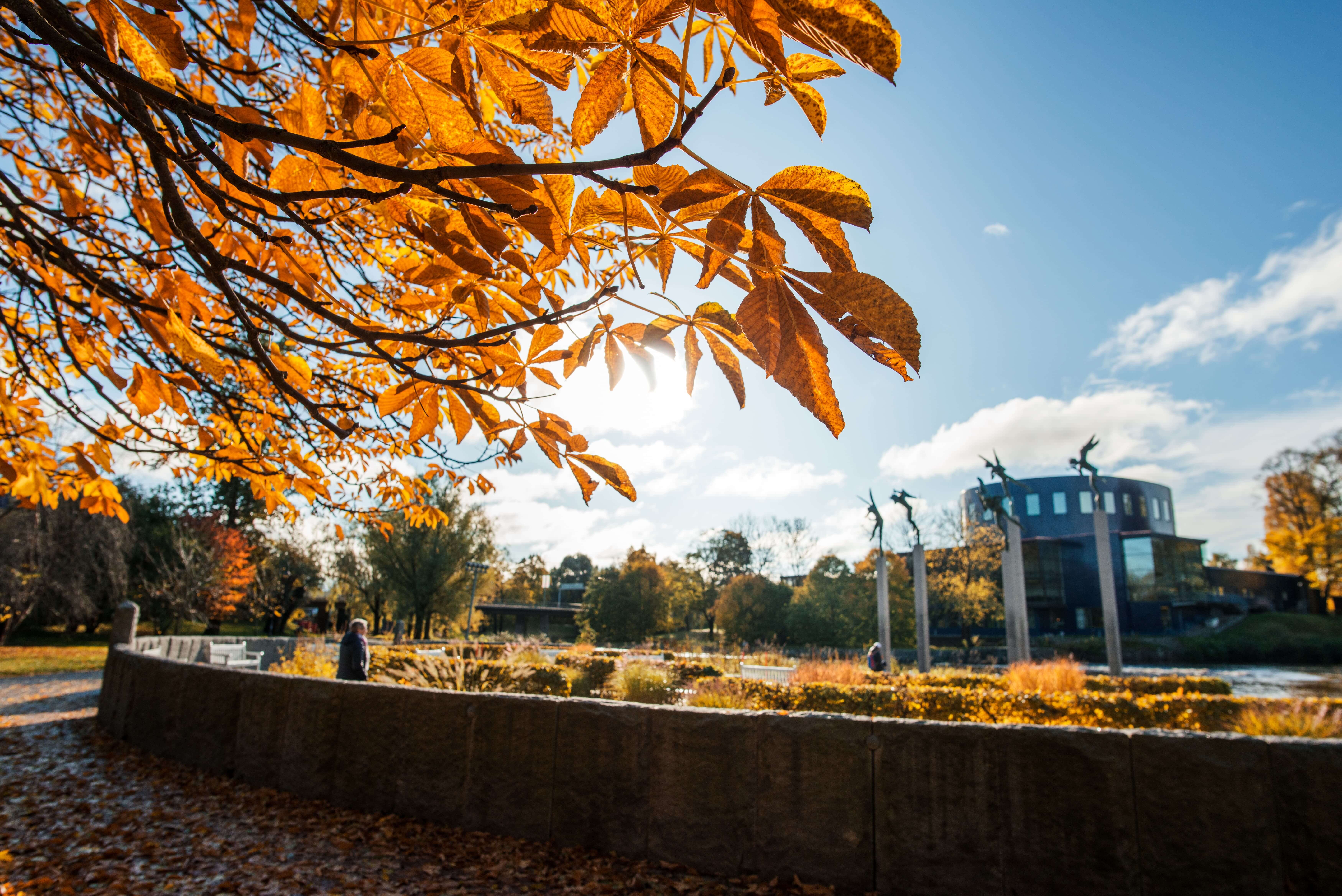 Vi Skyltar Gavles Historia Visit Gavle
