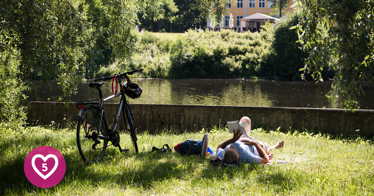 Boulognerskogen. Foto Daniel Bernstål