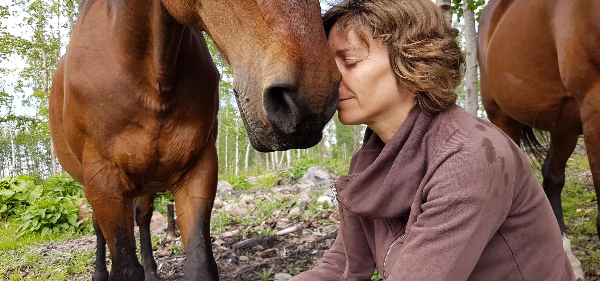 Healing genom hästar (equine therapy)