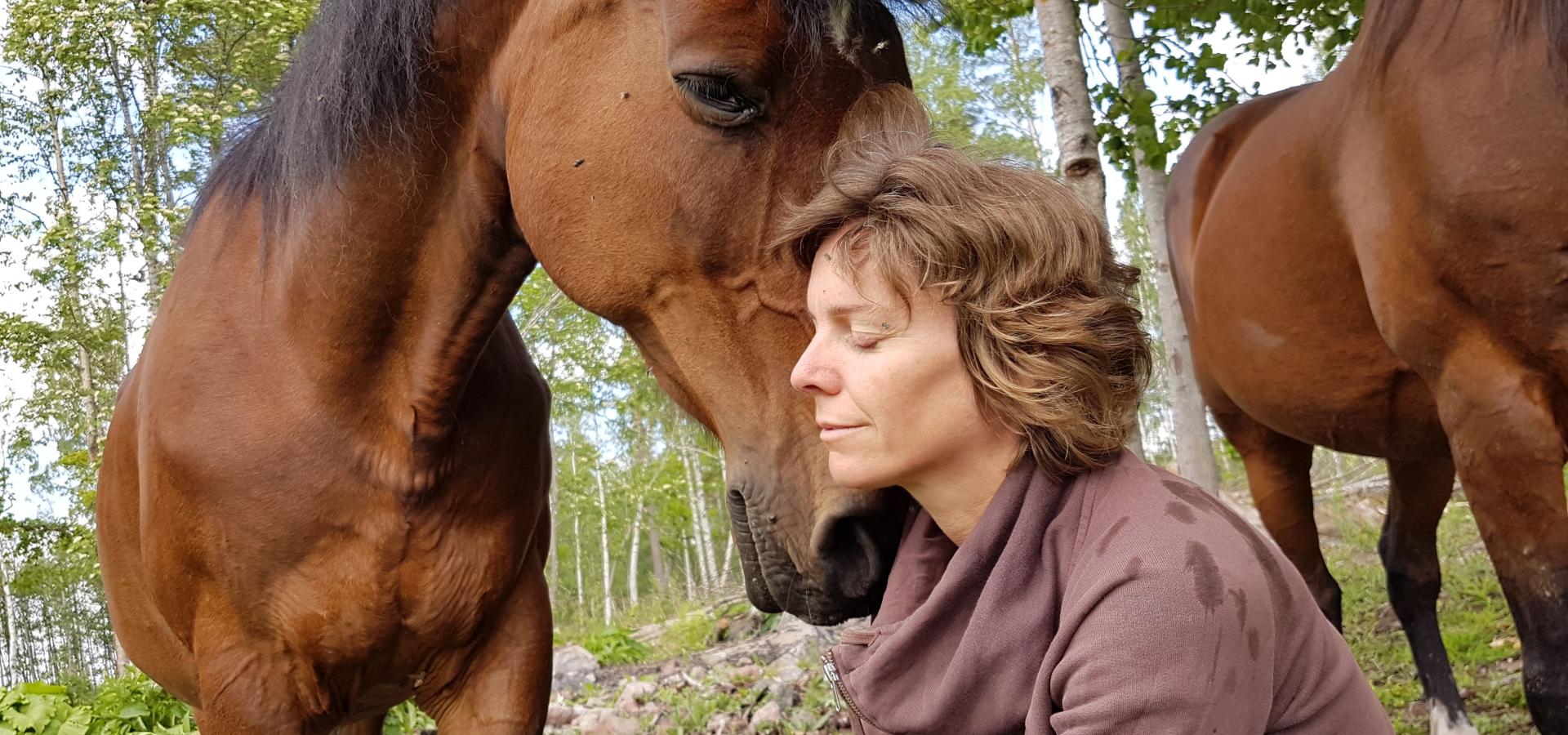 Häst semester: fokus på hästens behov och känslor