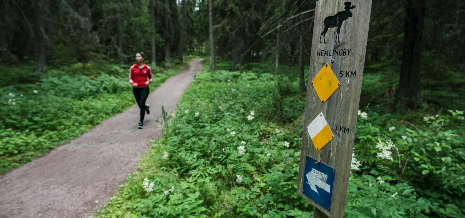 The Gästrikeleden Trail