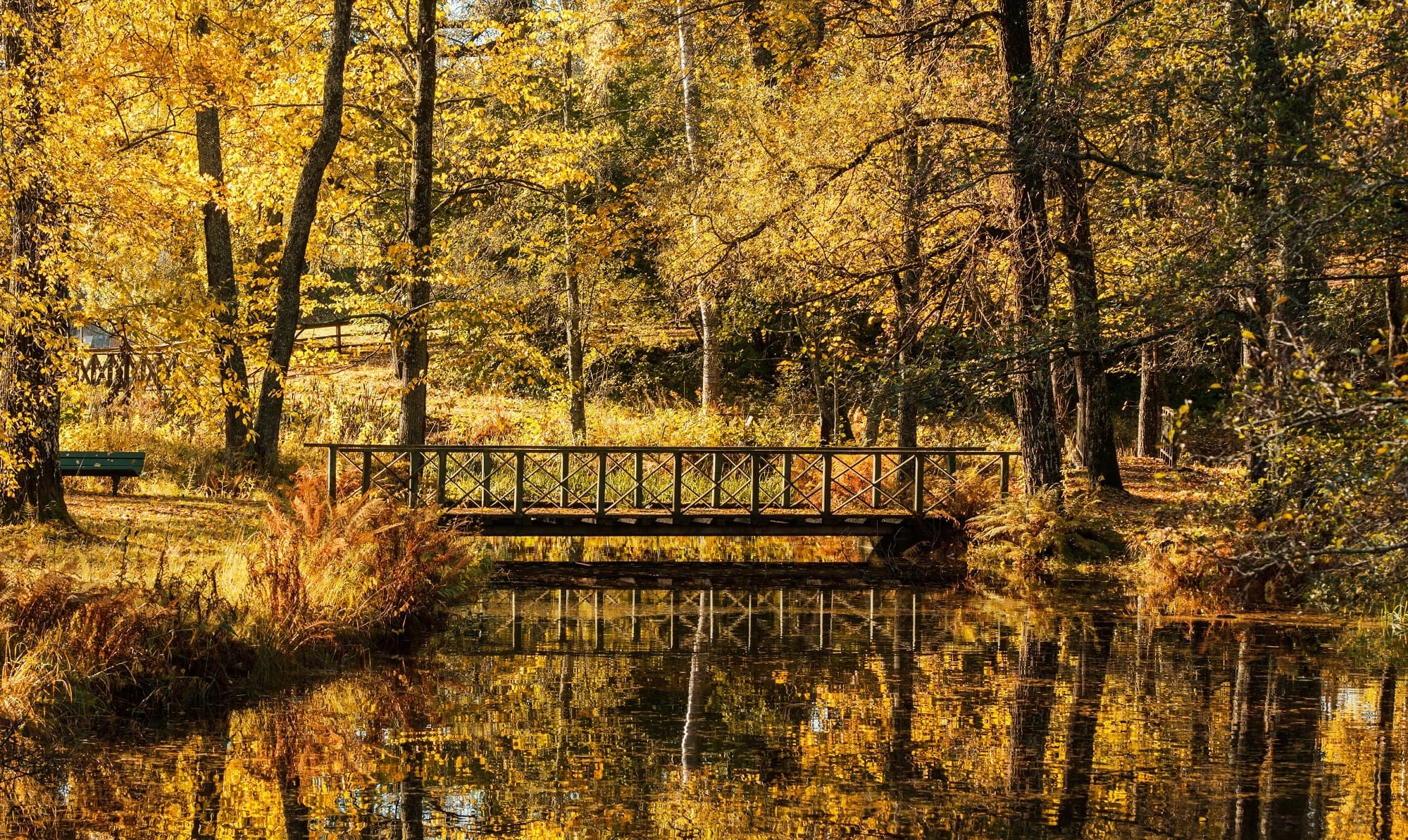 Autumn view from the Boulogner Forest, Gävle. Photo: Daniel Bernstål.