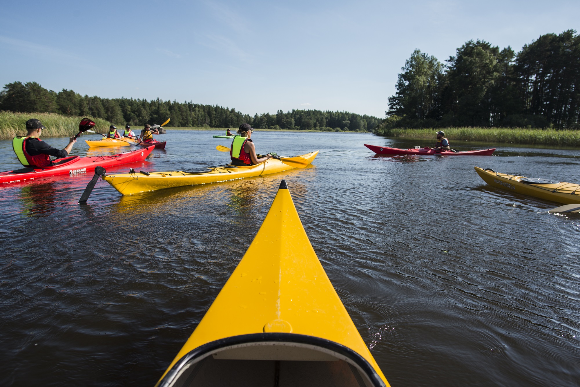 Färnebofjärden. Foto Daniel Bernstål