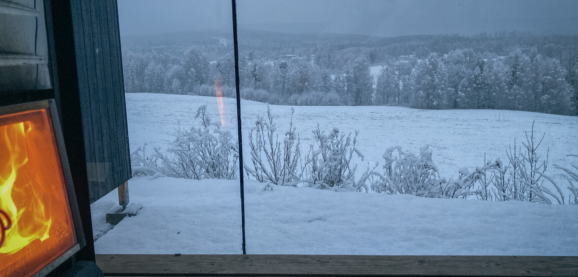 Utsikt från bastu inomhus och ut över natur i Åmot