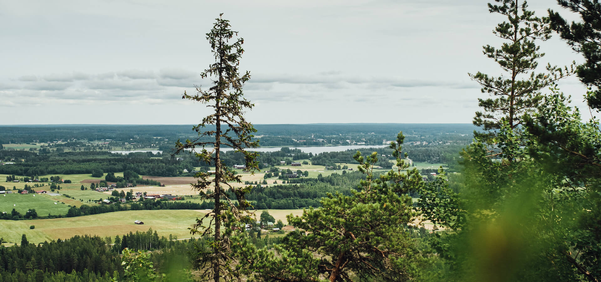 Utsikt Rönnåsen