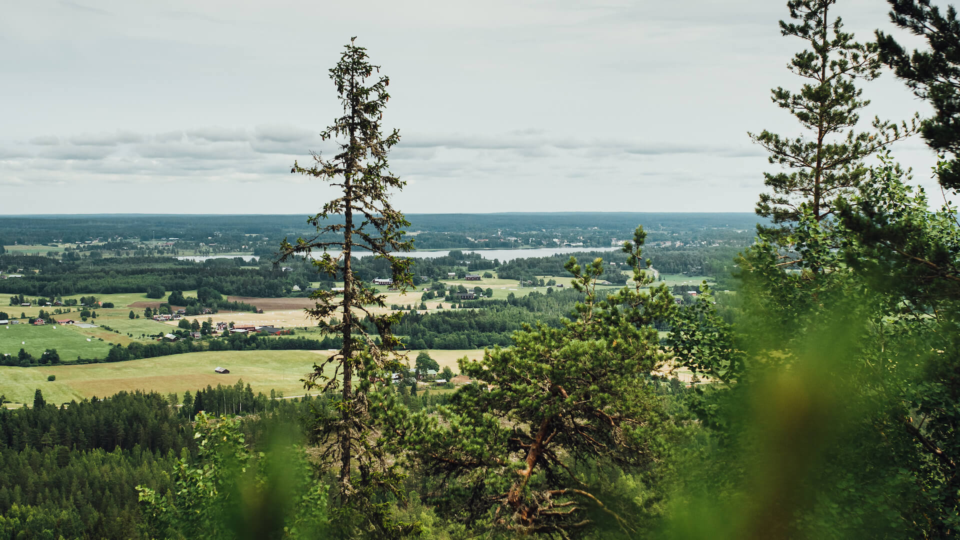 Vacker utsikt från Rönnåsen