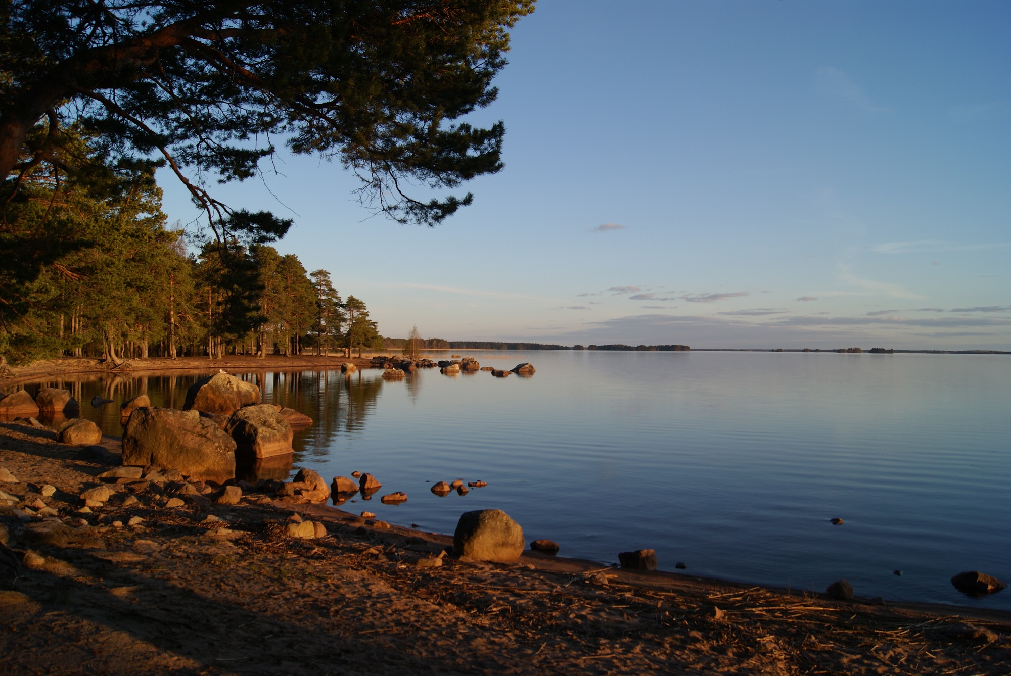 Hedesunda Camping. Foto Hedesunda Camping
