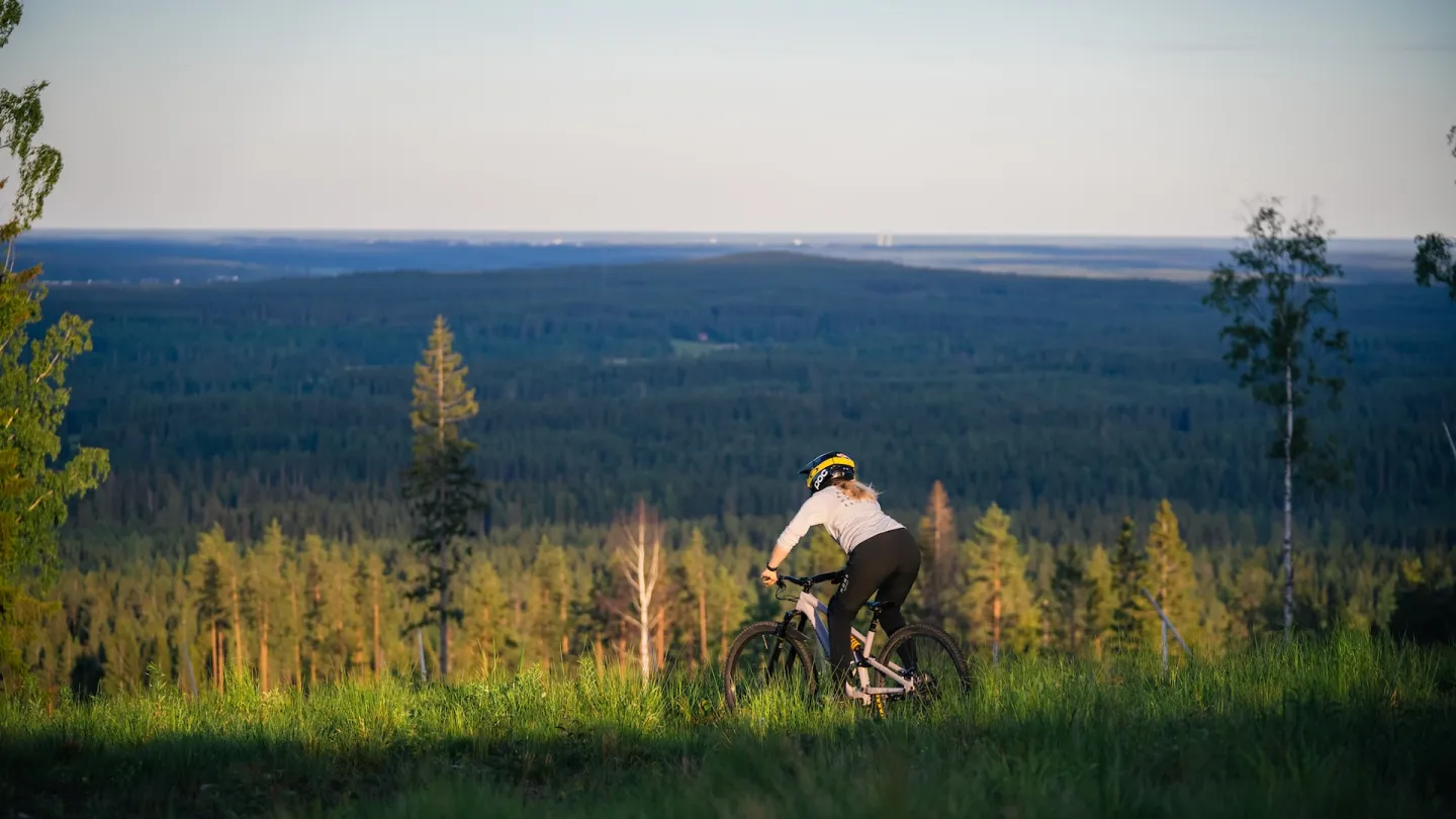 Cyklist nedför skogsbacke med utsikt