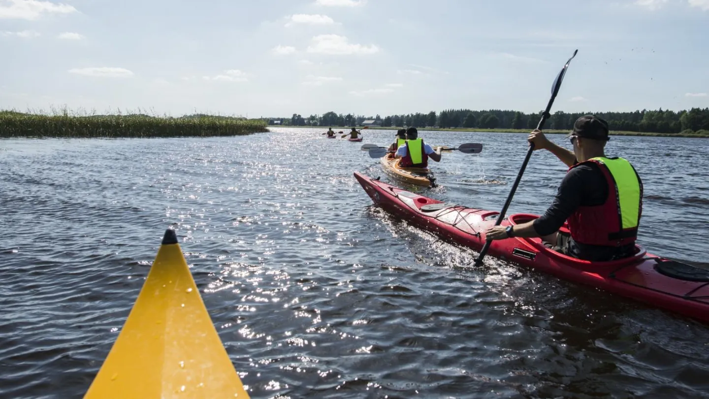 Paddling med kajak i Färnebofjärden. Foto Daniel Bernstål.