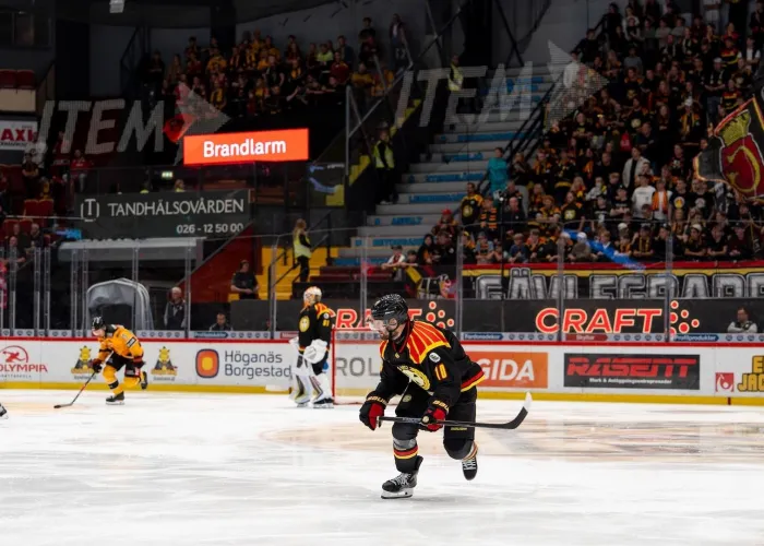 SHL Pettersson - Foto Brynäs IF