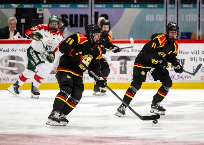 Hockeyspelare i full fart på isen