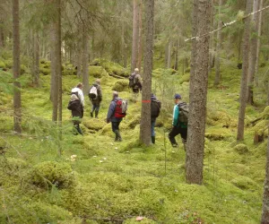 Vandring Tinäset - Foto Jessica Berg Vandrare på väg uppför i grön skog i Tinäset