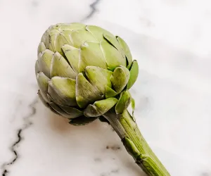 Artichoke