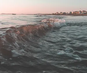 Waves