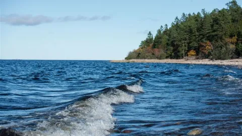 Vatten som rullar in mot stranden