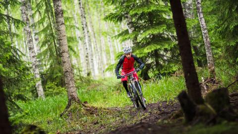 MTB cyklist på en skogsstig