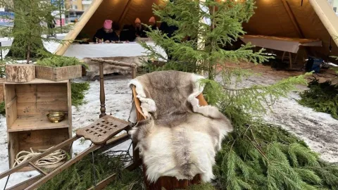 Ett tält, en stol och en gran