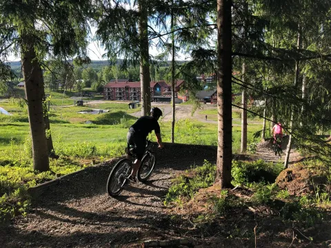 Cykling i Kungsberget. Foto: Kungsberget.