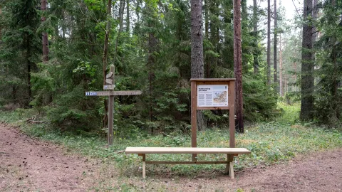 Naturstig med orienteringstavla