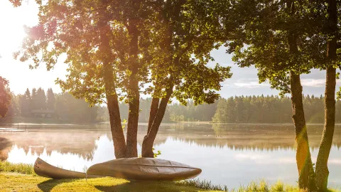 Kanot ligger på kant mot ett träd vid vattenbryn