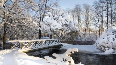 Vinterlandskap med mycket snö på mark i Boulognerskogen med liten träbro över vatten.