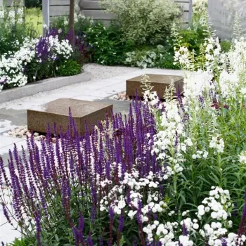 Wij Gardens