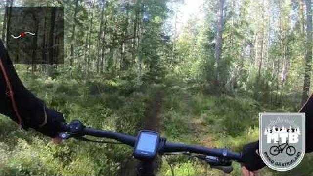 video_thumb